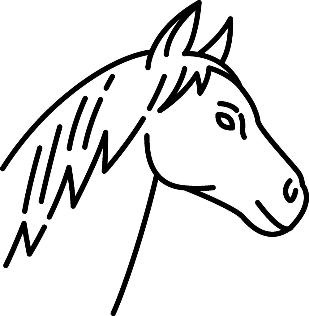 vecteezy a horse head outline on a white background 51116957
