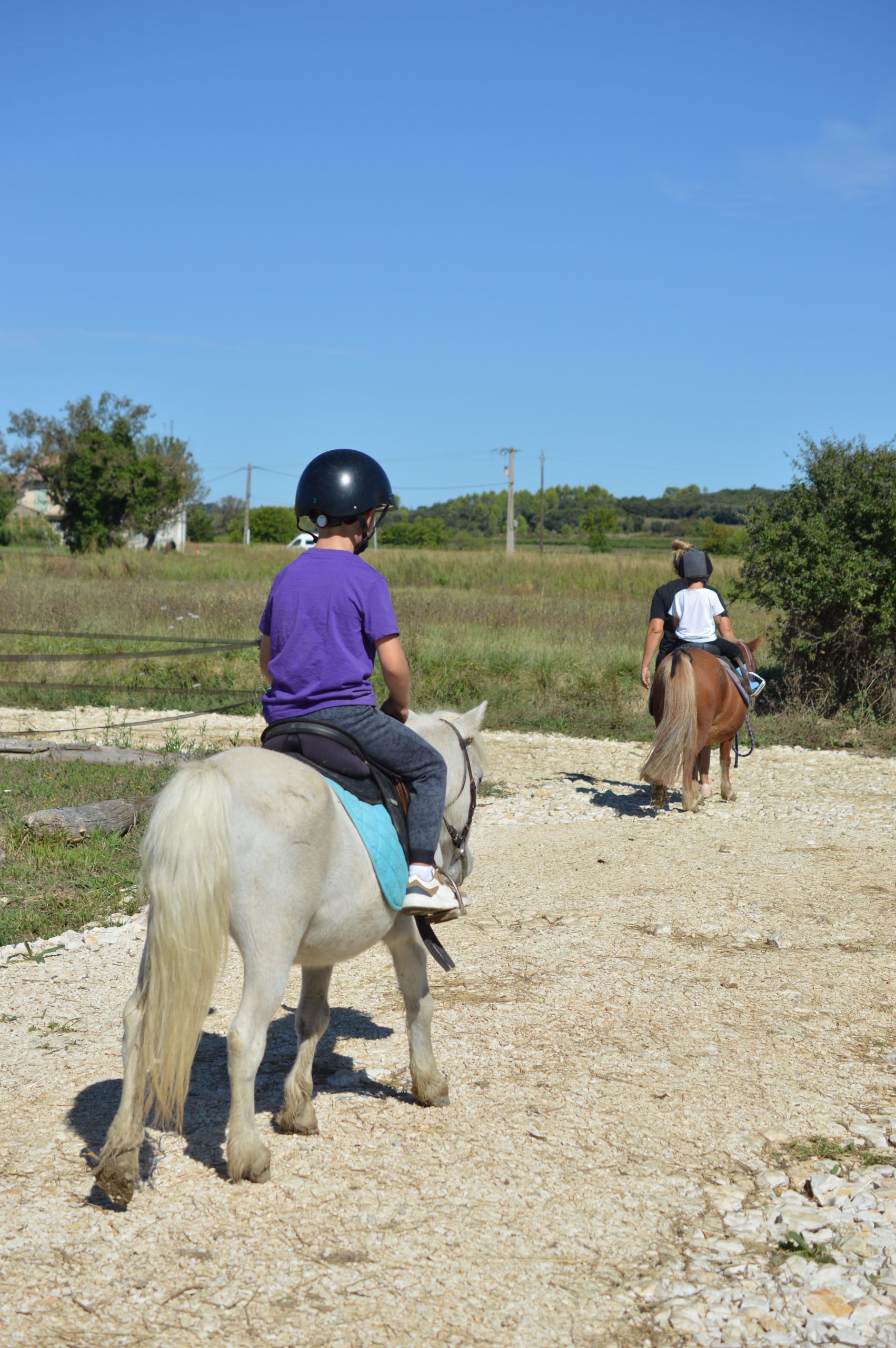 Balades à poneys dsc 0570